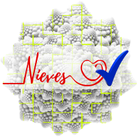 Logo Nieves del Villar